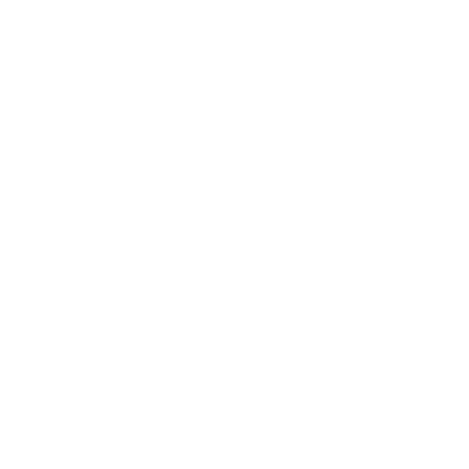 HEROIC Transparent Logo with Text